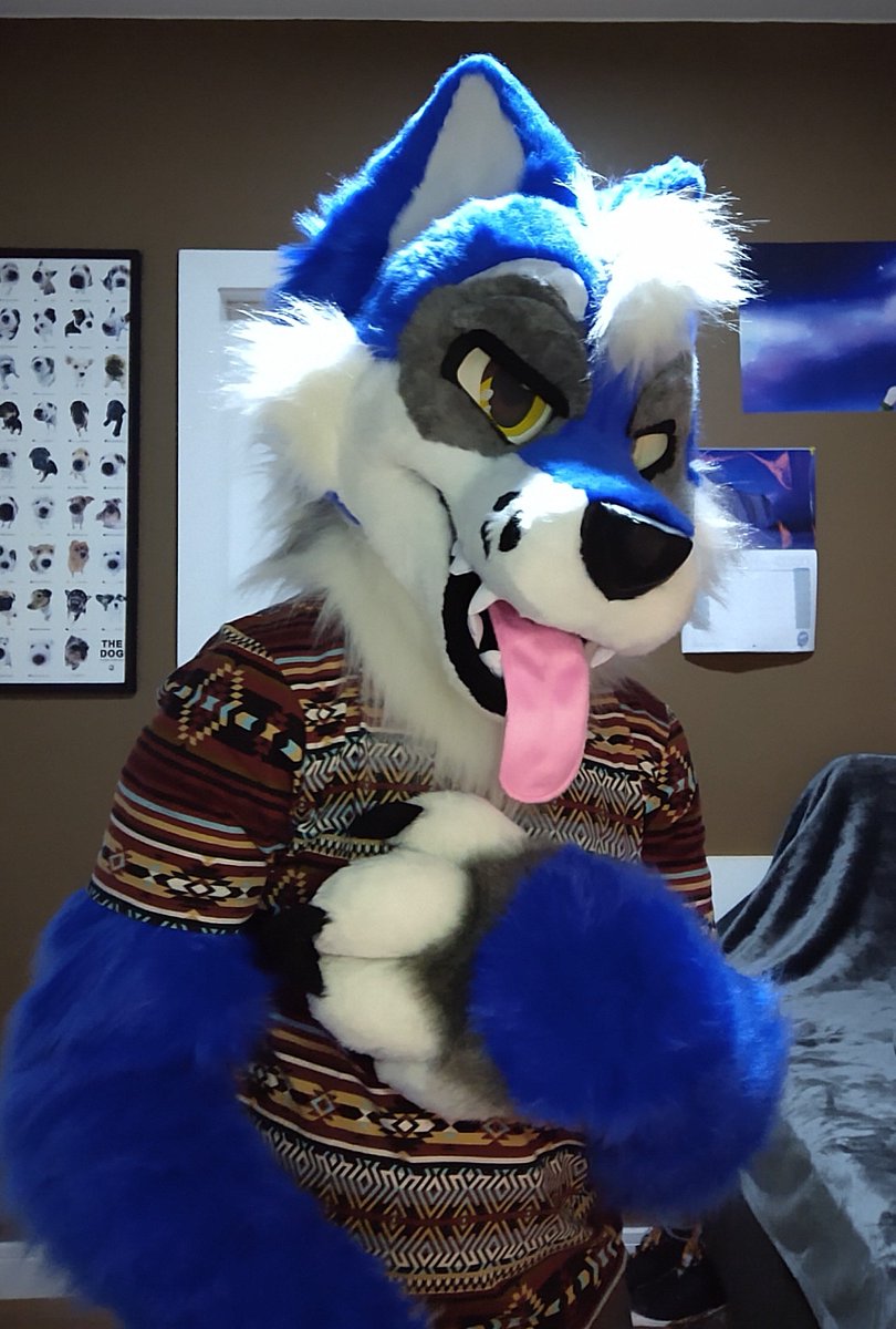 CaracalCreate's tweet image. Blue wolf is still looking for their new forever home! Will you take this puppy with you? 💙🐺 Link in my pinned tweet!
#FursuitFriday