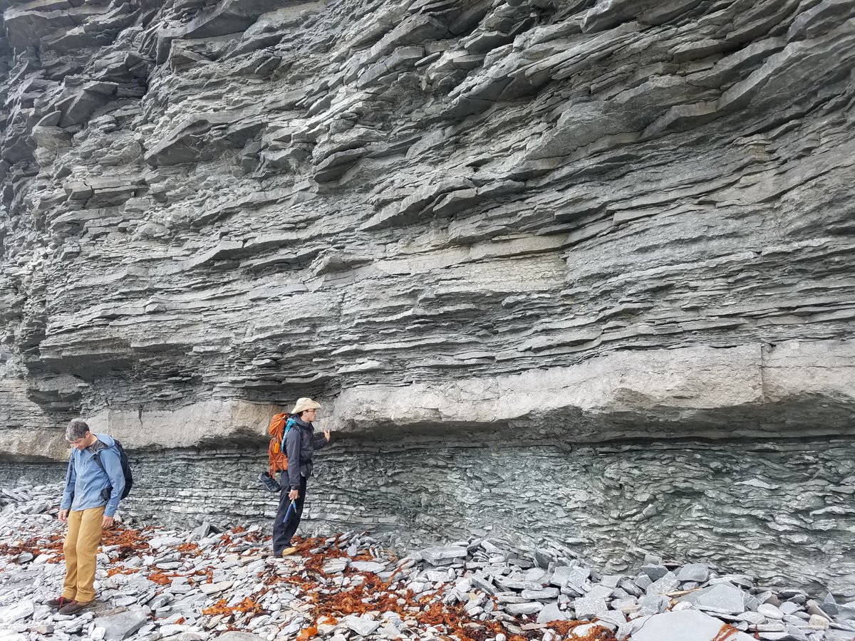 "Tell me the secrets of the Late Ordovician mass extinction," he whispered to the oncoid platform bed. But it said nothing, for it was a rock. #FossilFriday