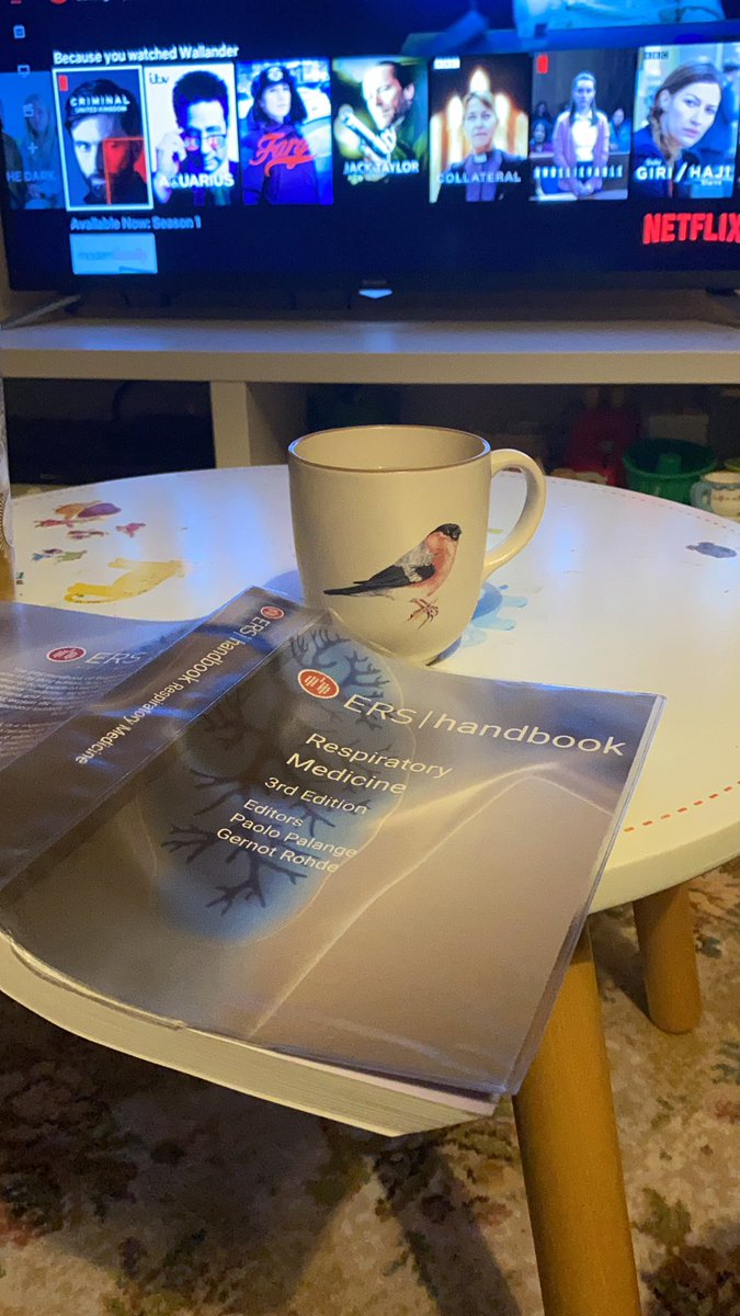FionaMosgrove's tweet photo. Made it to Friday. Chinese takeaway, the last kingdom, nerdy reading and a hot toddy. #schoolbugs https://t.co/jfJWU2pAja