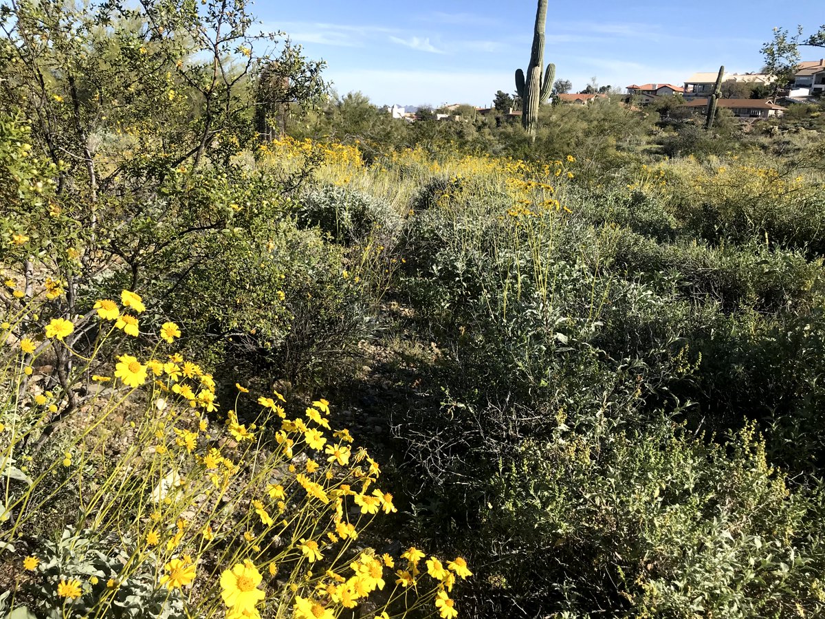 Fountain Hills, Arizona