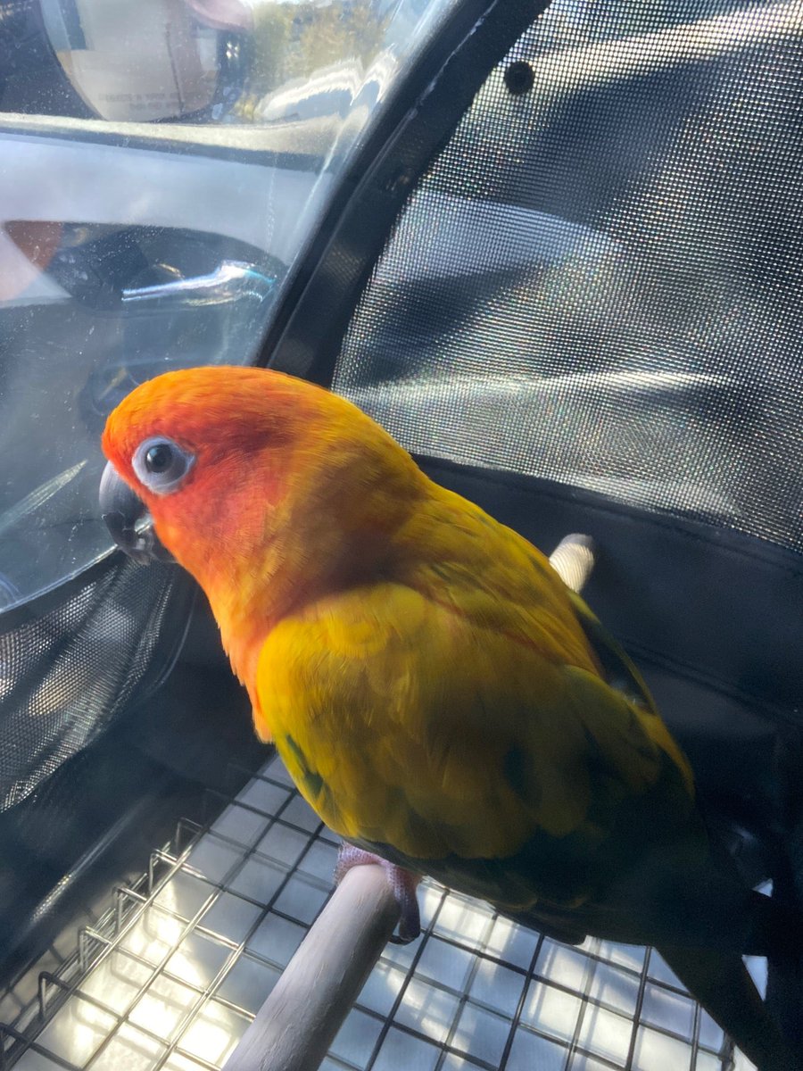 cl2425's tweet image. Outing with chew (@ Crate &amp;amp; Barrel - @crateandbarrel in Woodland Hills, CA) swarmapp.com/c/3qJGIM3mtDM