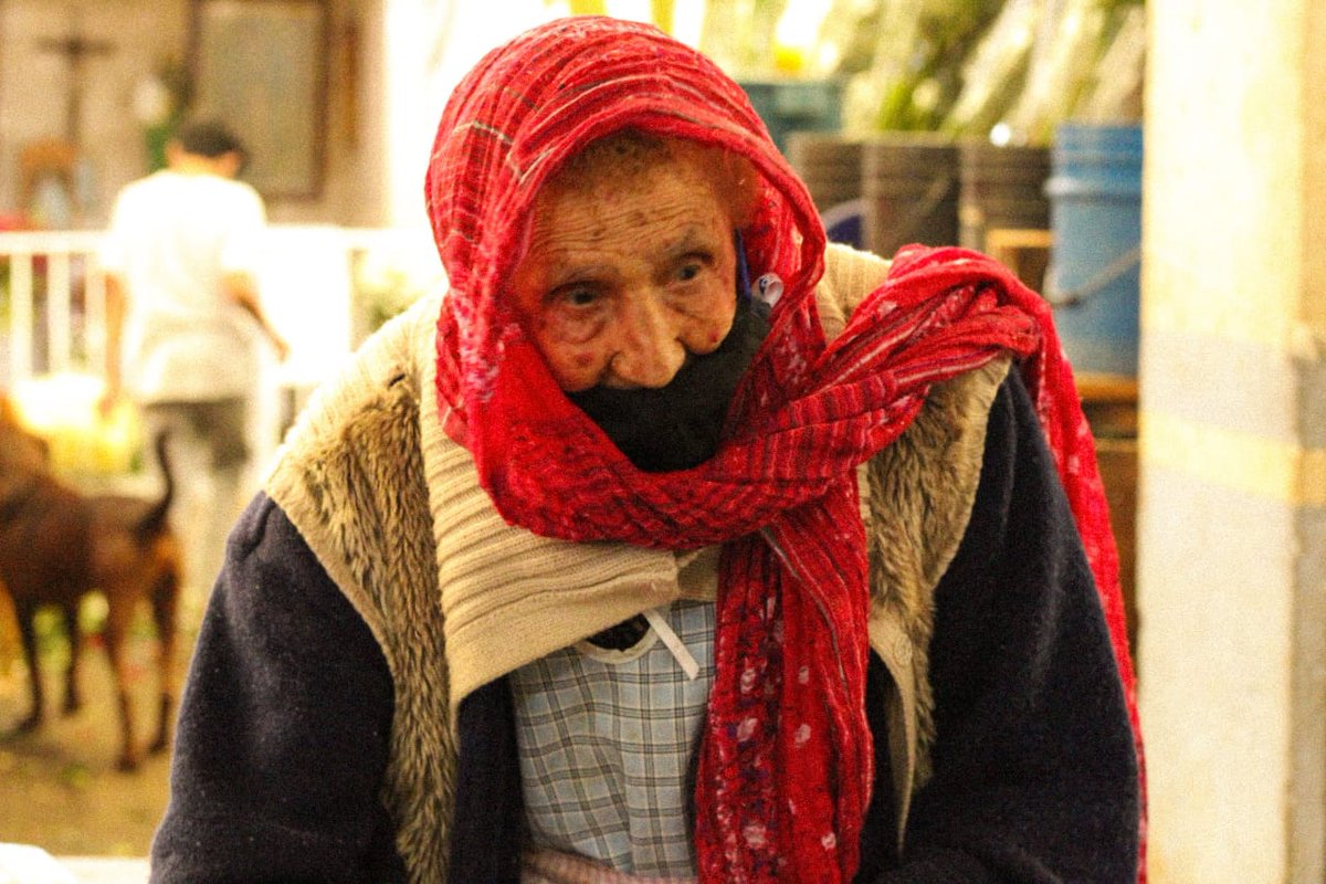 NewsReportMx's tweet photo. #DíaDelAbuelo en la incertidumbre 

Entre el olvido y el abandono, las personas adultas mayores se adaptan a una "nueva normalidad" que le apuesta a la superviviencia y se olvida de los más vulnerables.

📷: @Mirruska, @Yllich_ES y @RoussMarrii

#Galería: https://t.co/B2f00mErtV https://t.co/2PknD6QRVD