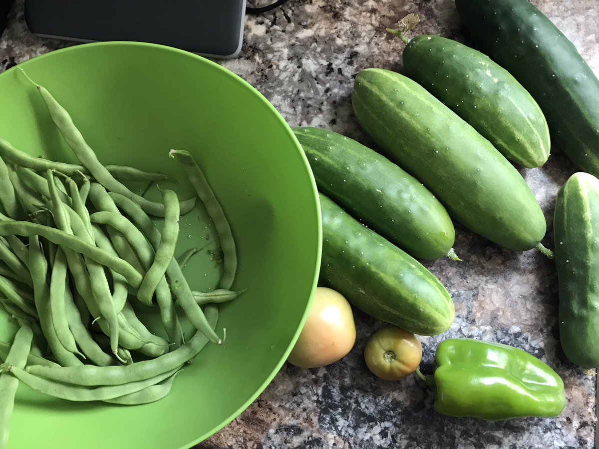 jkravalli's tweet photo. I think this is the gardens best year ever. https://t.co/TUkTcGY7jC