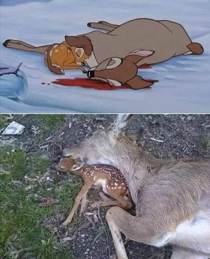 haysevder's tweet photo. BU ÜLKEDE KATİL İSTEMİYORUZ!
Bambi'nin annesi avcı tarafından vurulduğu sahnede hangimiz ağlamadık?Peki bunu gerçek hayatta yapabileceğimiz nereden çıktı?Urfa'da ceylanların avlanması için açılan ihale katliamdır.#BUKATLIAMDURDURULMALI
@suleymansoylu @SanliurfaDKMP @UrfaValiligi https://t.co/tzaQUvoD31