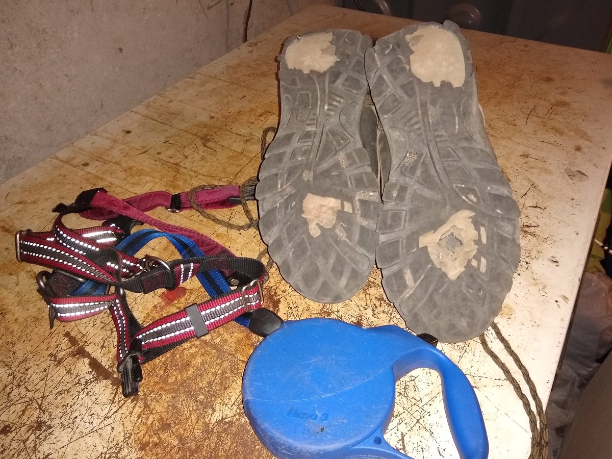 Guess it was time for new shoes. Walked over 1,100 miles so far this year. The dog is probably close to 2,000