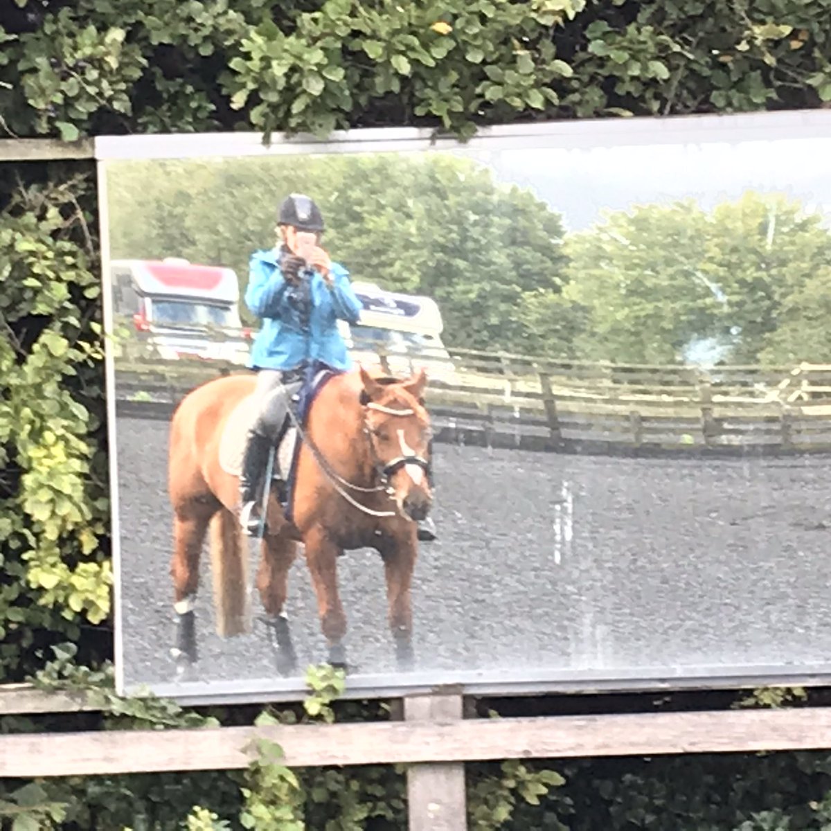 ClareShawRD's tweet photo. Lovely to get out in the fresh air for a schooling session with Molly after a day at the desk #AHPsActive #weactivechallenge2020 #activemarsden https://t.co/DWIoO12wLa