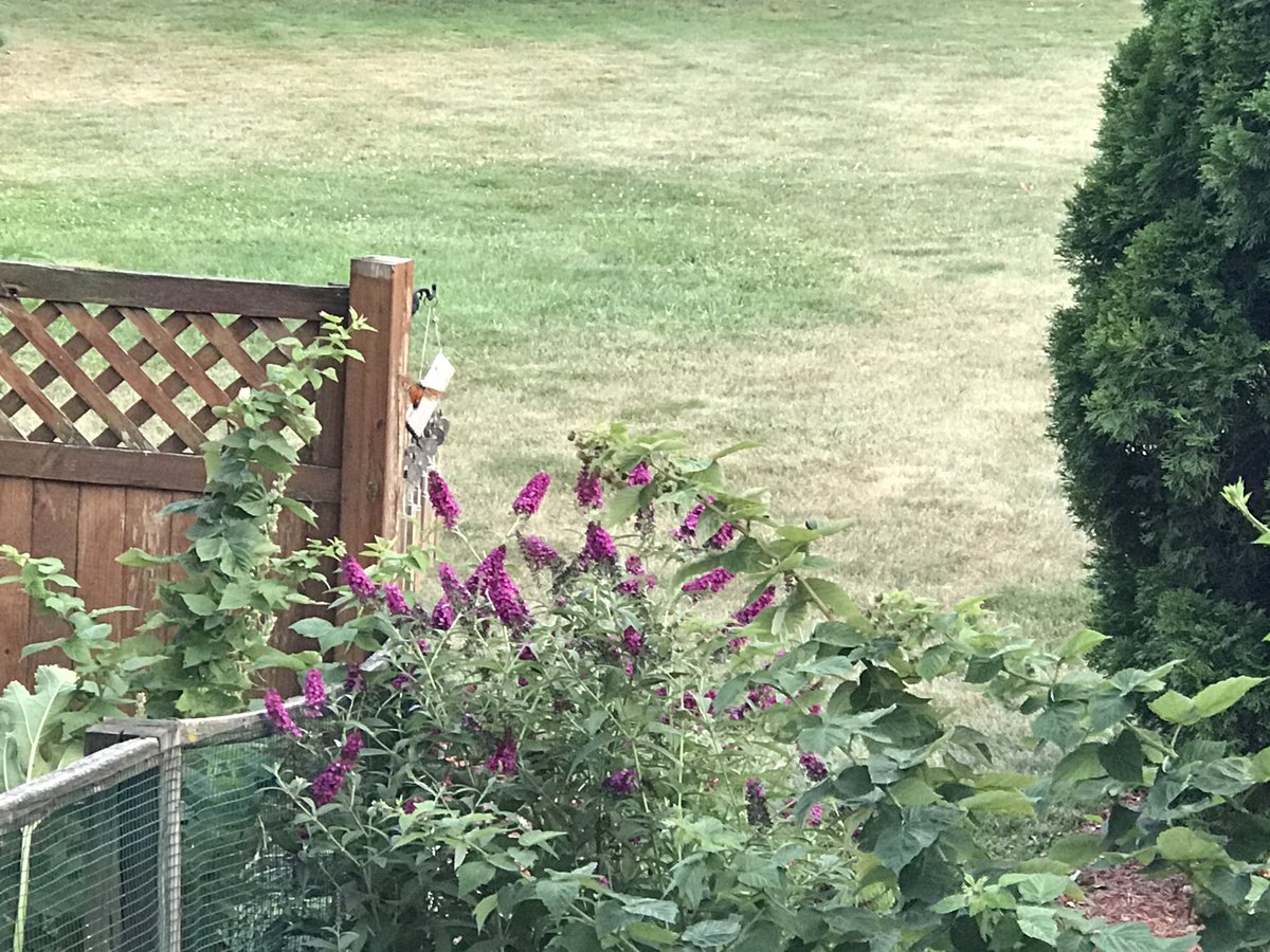 Frank McKenna tweet media