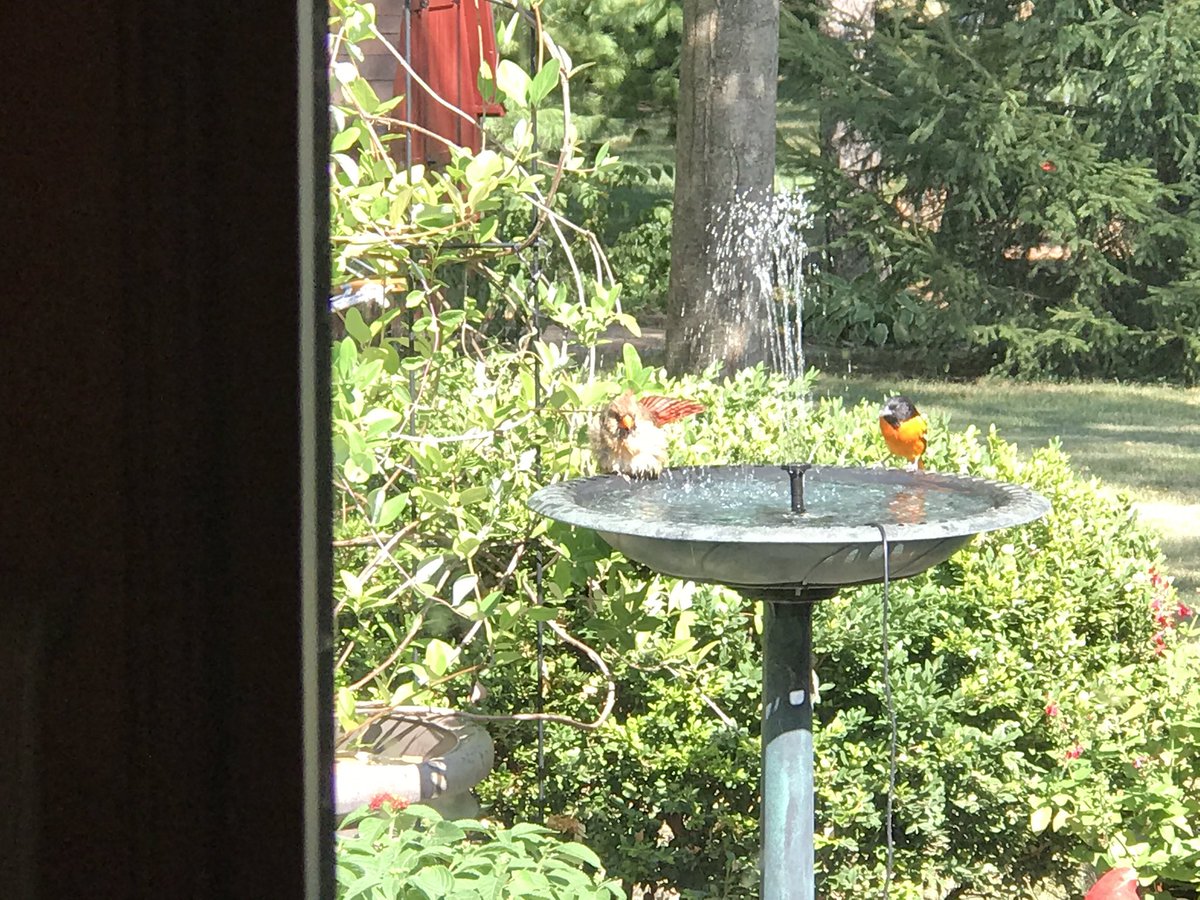 Frank McKenna tweet media