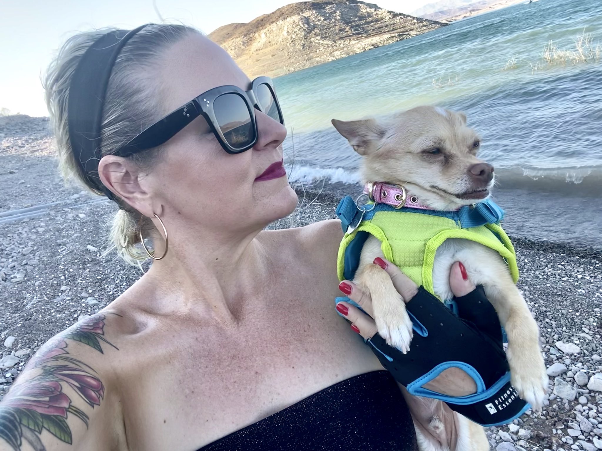 1 pic. I love Poop! #InternationalDogDay Love this little guy soooo much. And yes, he’s seen sooo much