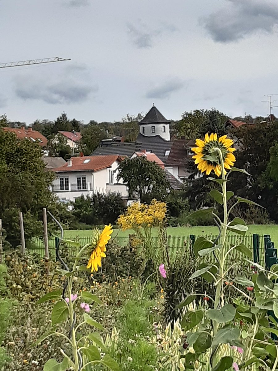 outofmainhattan's tweet photo. ... dann ab #Altenstadt den #Vulkanradweg hoch Ri. #Hoherodskopf - geht an einer Bahntrasse entlang, deshalb nur gemäßigte Steigung u. lässt sich super fahren (trotz schlechter Bergkondition locker abgewandelt, bin proppestolz - na ja, mit etwas Rückenwind ... 🙂) https://t.co/gkuXOWwrEI