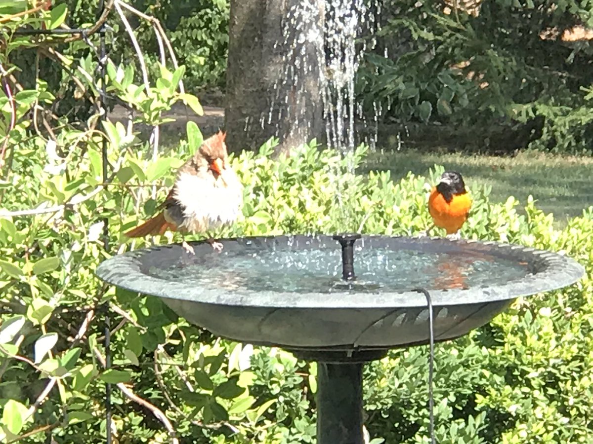 Frank McKenna tweet media