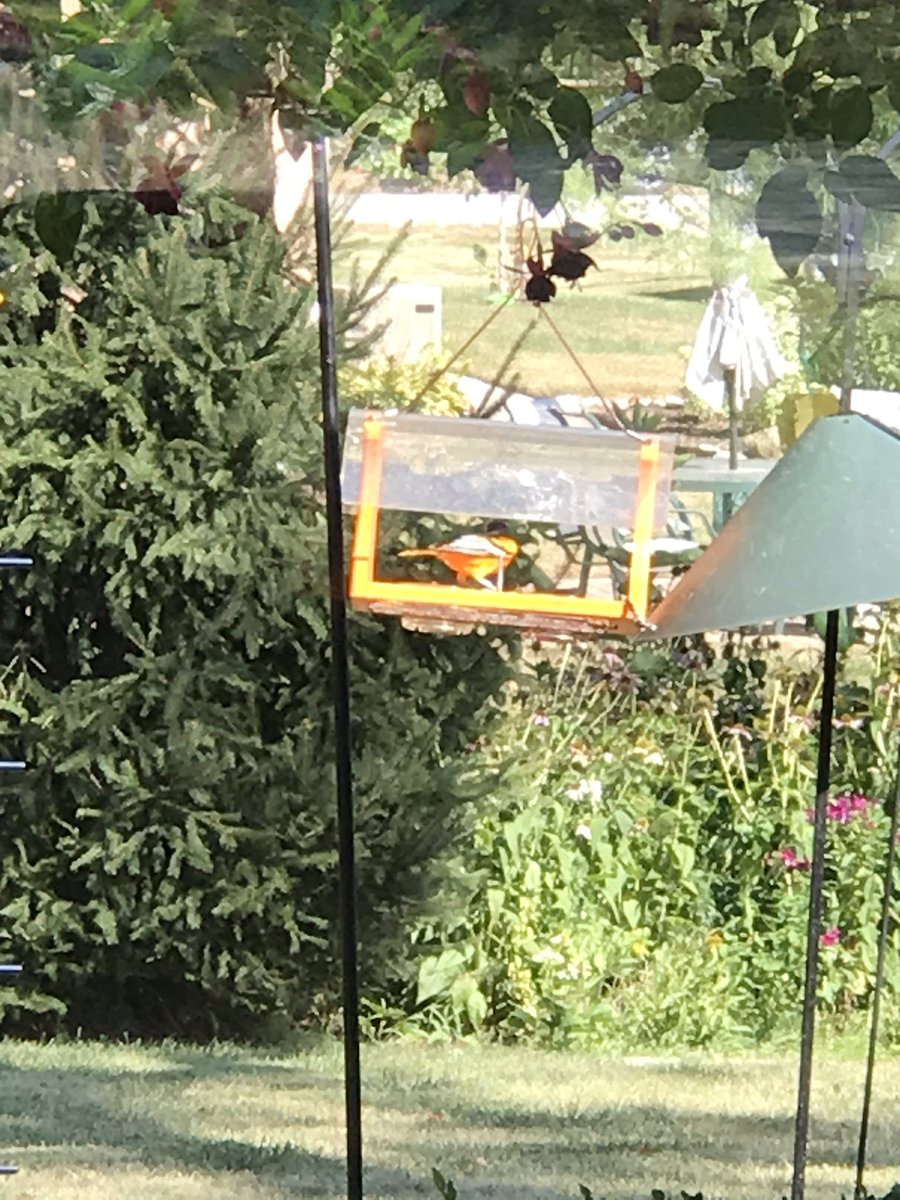 Frank McKenna tweet media