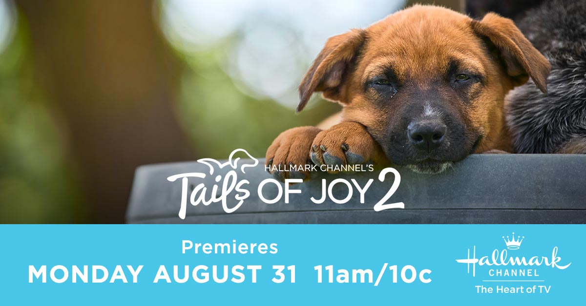Get ready for joy, love, and hope in this all new premiere. Join us now for Tails of Joy 2, and use #TailsOfJoy2 while you tweet! #AdoptionEverAfter