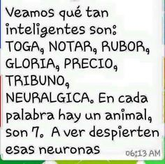 Carol en casa on Twitter: Carol en casa on Twitter: