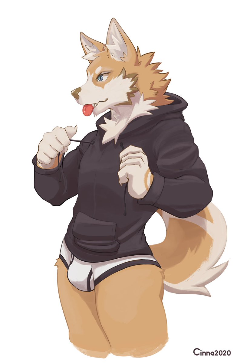 Cinnaboi_'s tweet photo. Yeah, Cinna likes undies and hoodies so this was a nice idea 👌 https://t.co/Uiofe1lPZJ