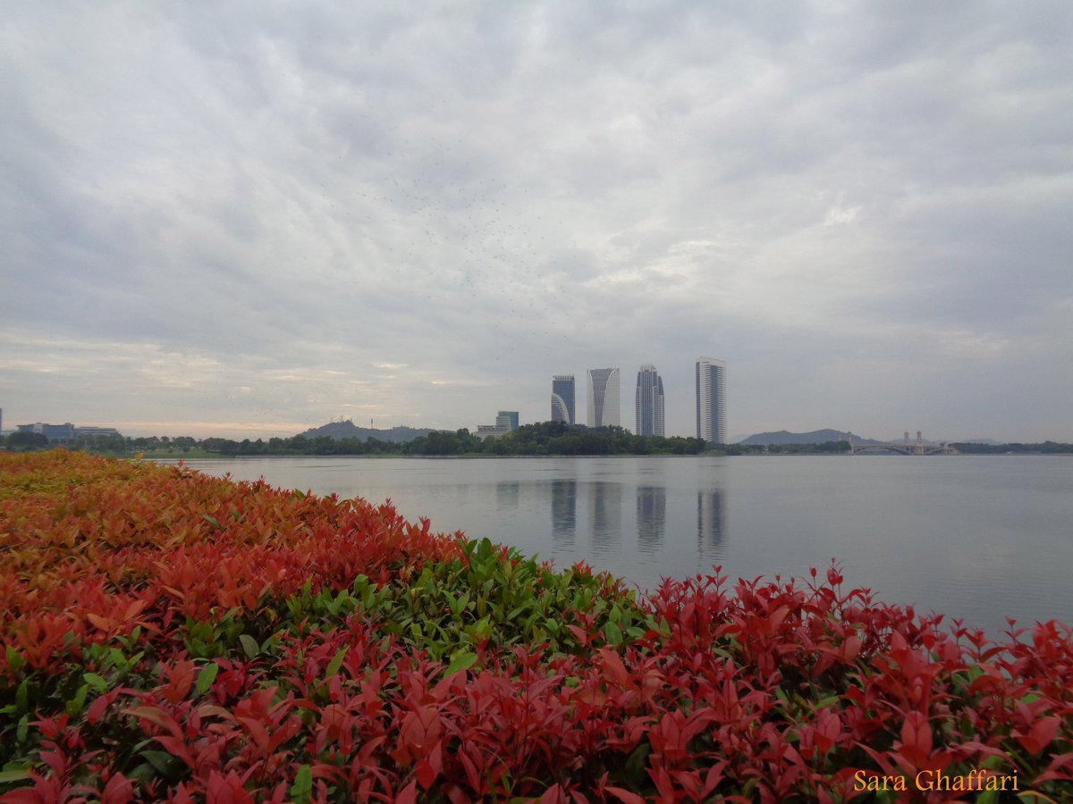 Beautiful lake in Cyberjaya, Malaysia. The photo was taken before the sunrise, December, 2017. #nature #NaturePhotography #naturelovers #Putrajaya #Cyberjaya @kongsi2cerita @Twt_Cyberjaya