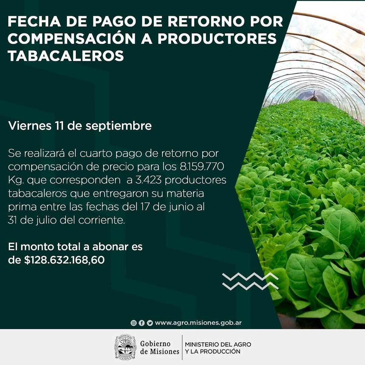 Comunicamos que el viernes 11 de septiembre se realizará el cuarto pago de retorno por compensación de precio para aquellos productores tabacaleros que entregaron su materia prima entre las fechas del 17 de junio al 31 de julio del corriente.

<a href="/herrerayflia/">Oscar Herrera Ahuad</a> <a href="/gobmisiones/">Gobierno de Misiones</a>