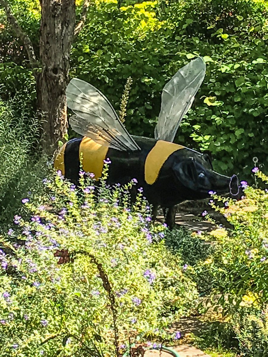 Is that... is that a giant bee pig?