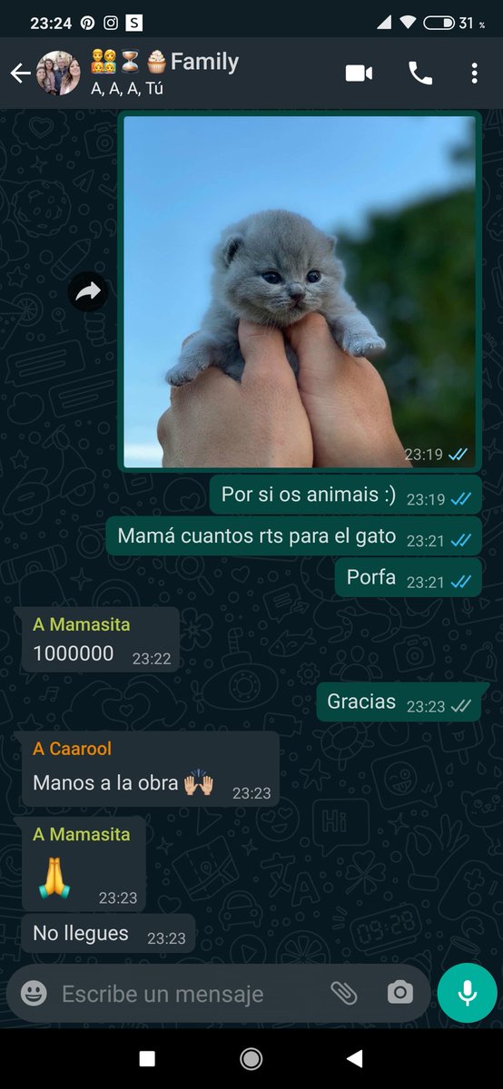 evaalvrez_'s tweet photo. Gracias mamá por hacerlo todo tan fácil, ayudadnos gente JAJJAJAJA RT POR DIOS https://t.co/d3Os7QqpKS