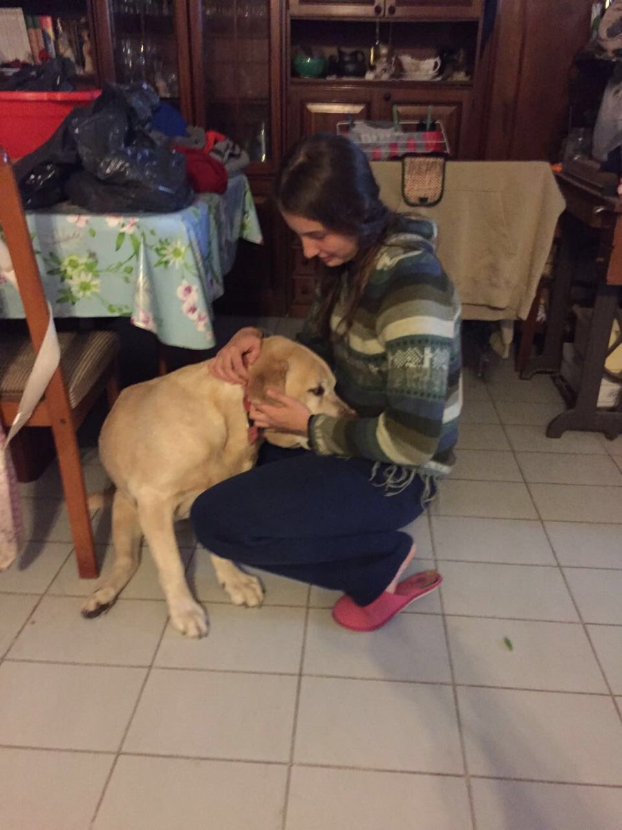 abrilramos71's tweet photo. Nos vemos pronto🐶❤️😇 https://t.co/0GzrN8N2bs