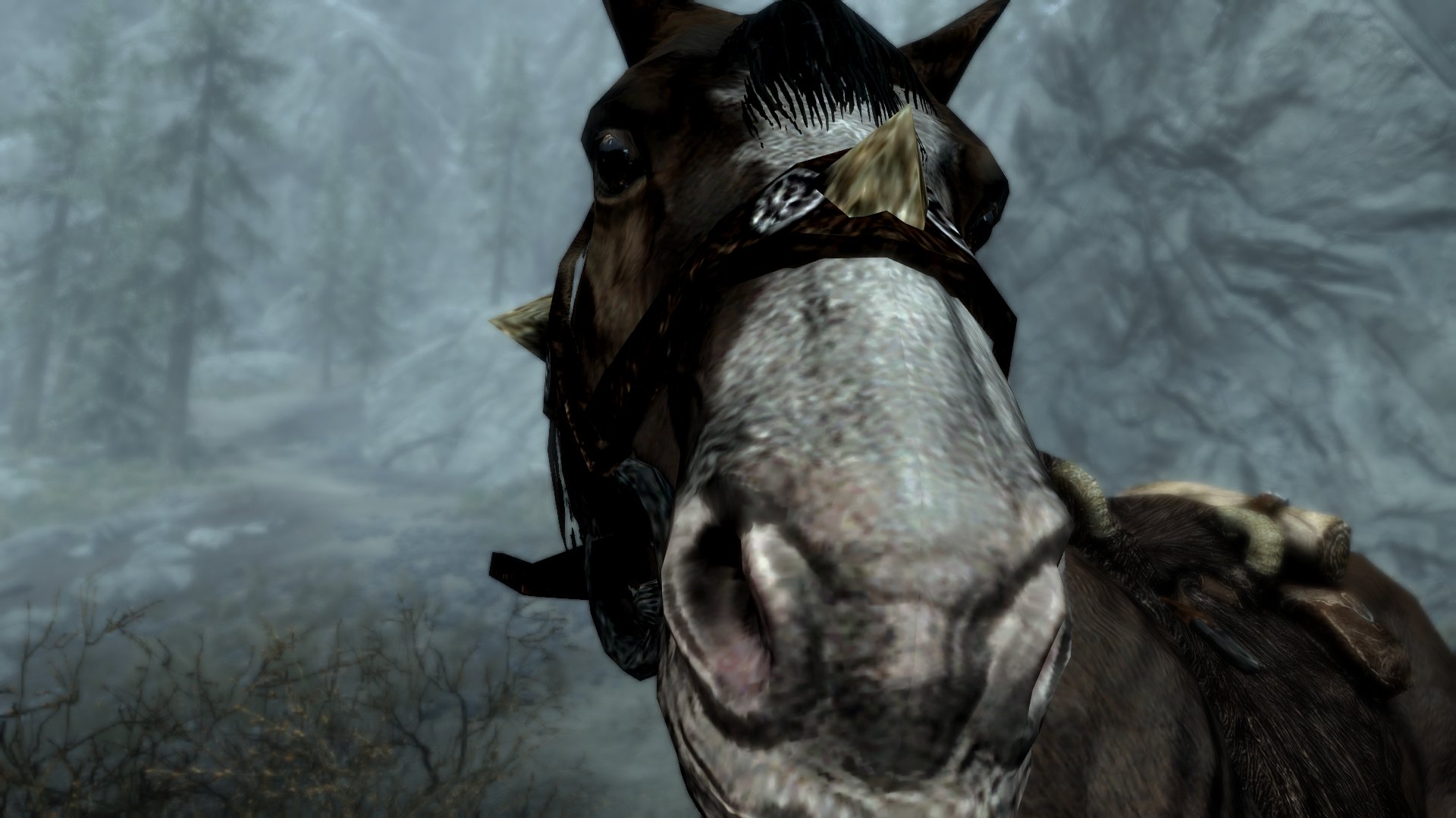 UESP on Twitter "TES Memory The way Skyrim's horses stare at you. https//t.co/yC7a6cKqmp