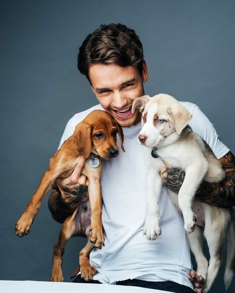 tomflower_'s tweet image. Auguri a questo orsacchiotto che non si è mai arreso🧸
@LiamPayne 
#HappyBirthdayLiam #27yearsofpayno