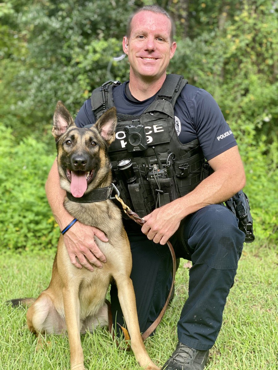 Dutch is all smiles to start the work week! #policek9 #policedog #policedogs #k9team #k9unit #policek9 #k9handler #workingdog #workingdogs #furmissile #landshark #K9life #k9police #k9cop #thinbluefamily #thinblueline #sendus #k9leadstheway #k9