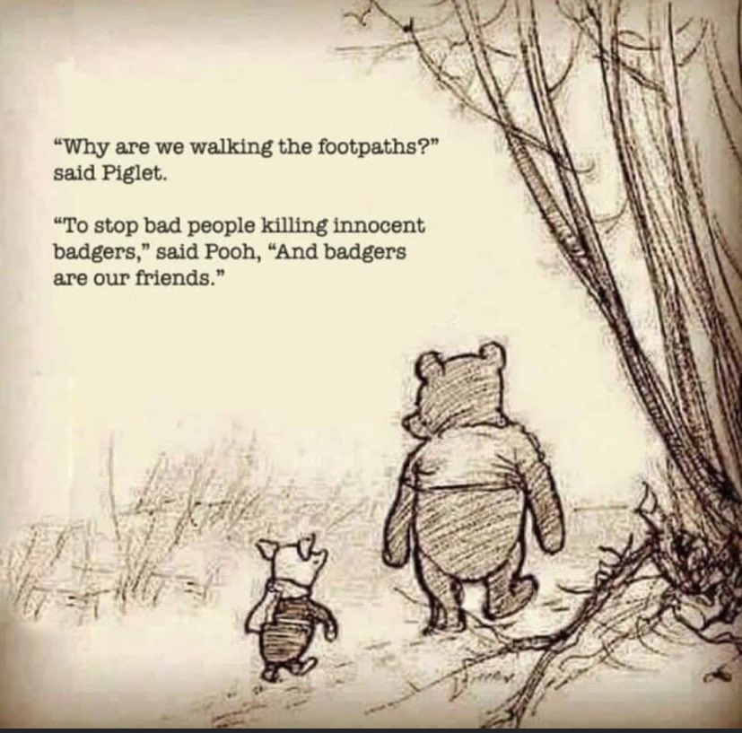 This brought a tear to our eyes Badgers need our help ❤️🦡🐾