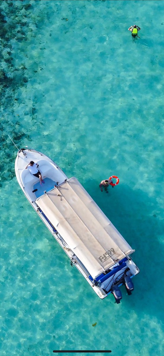 فهد الزويد tweet media