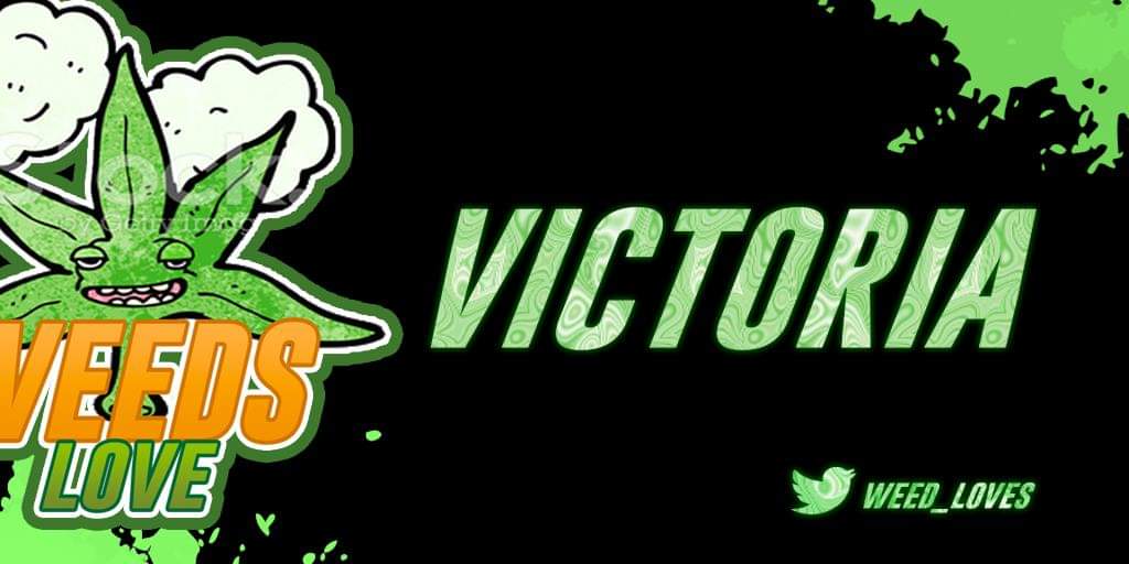 ⚡️Wēēd Løve$⚡️ (@weed_lovess) on Twitter photo RESULTADOS!
🏆:<a href="/PhnxleagueSS/">PLS🏆 Oficial</a>
🆚️:<a href="/FireGladiators/">Fire Gladiators</a>
❓:2-1
"Nos hemos enfrentado a un rival formidable, pero el nivel de nuestros fue superior, con esto nos instalamos en semifinales🥳"
🗣:
<a href="/SxxRca/">RCAS</a>
👥:
-<a href="/lvaroGa47571558/">KillerBE CR 💪</a>🥈
-<a href="/meza_rose_CR/">Martin</a>🎖MVP
-@Firinoliww18s🎖MVP
-<a href="/PakoLaLa99/">PakoLaLa</a> 🥈 RESULTADOS!
🏆:<a href="/PhnxleagueSS/">PLS🏆 Oficial</a>
🆚️:<a href="/FireGladiators/">Fire Gladiators</a>
❓:2-1
"Nos hemos enfrentado a un rival formidable, pero el nivel de nuestros fue superior, con esto nos instalamos en semifinales🥳"
🗣:
<a href="/SxxRca/">RCAS</a>
👥:
-<a href="/lvaroGa47571558/">KillerBE CR 💪</a>🥈
-<a href="/meza_rose_CR/">Martin</a>🎖MVP
-@Firinoliww18s🎖MVP
-<a href="/PakoLaLa99/">PakoLaLa</a> 🥈