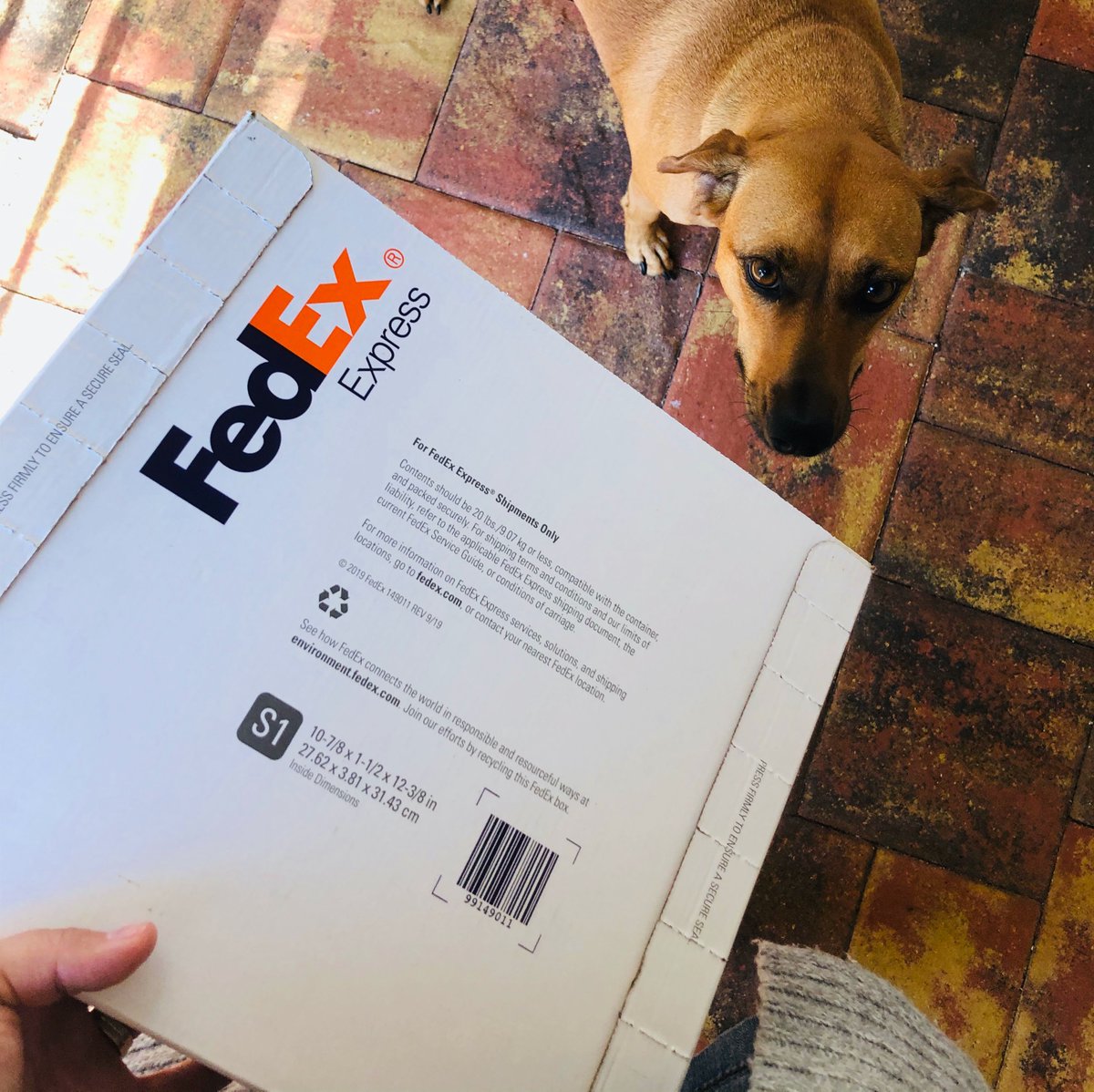 My computer wouldn't start up this week and <a href="/backblaze/">Backblaze</a> saved me! Within 48 hours, I received an external hard drive with all my files. There's nothing better than looking at my lovable dog while receiving a backup of what was lost on my computer. Back up those files and photos!