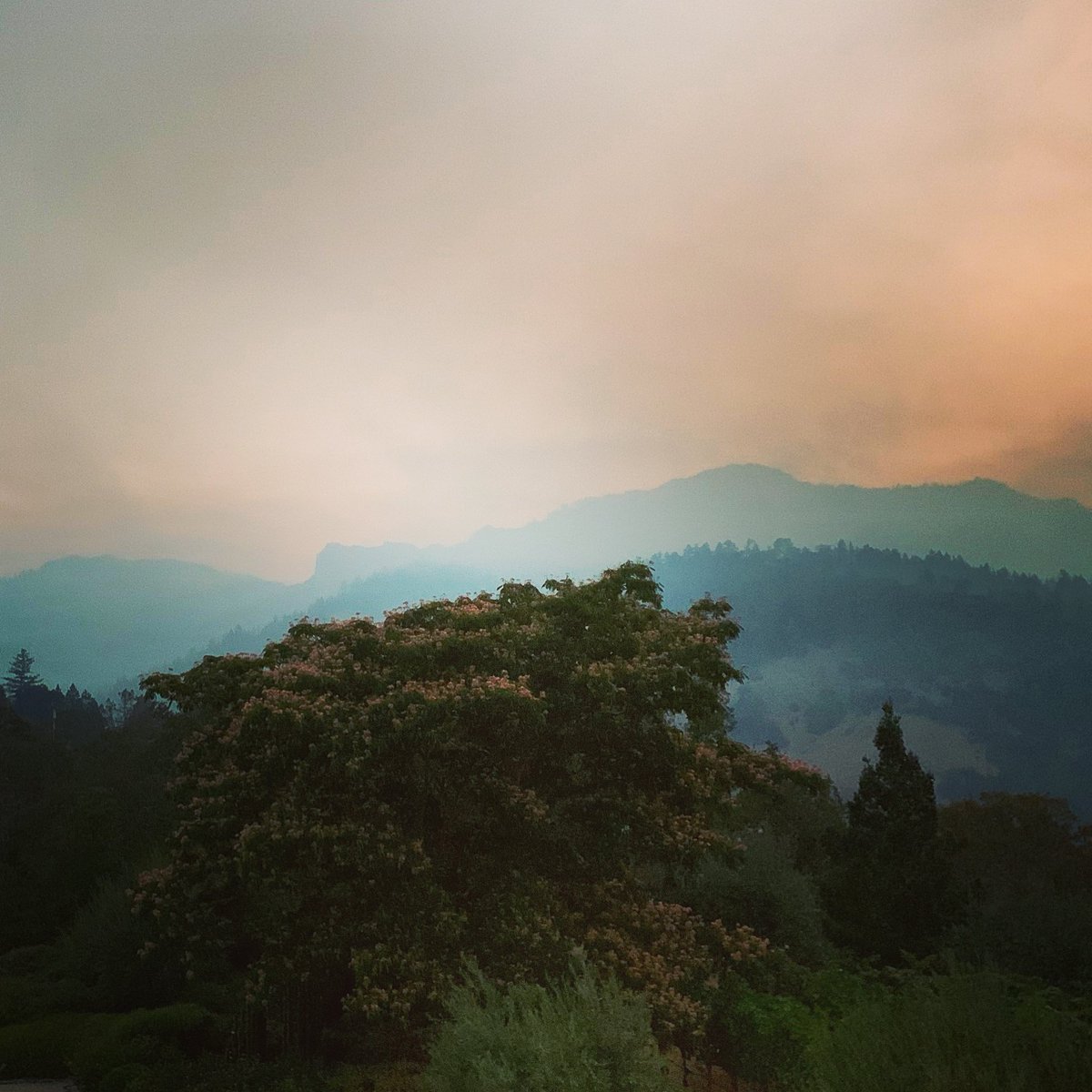 Sunrise in the canyon