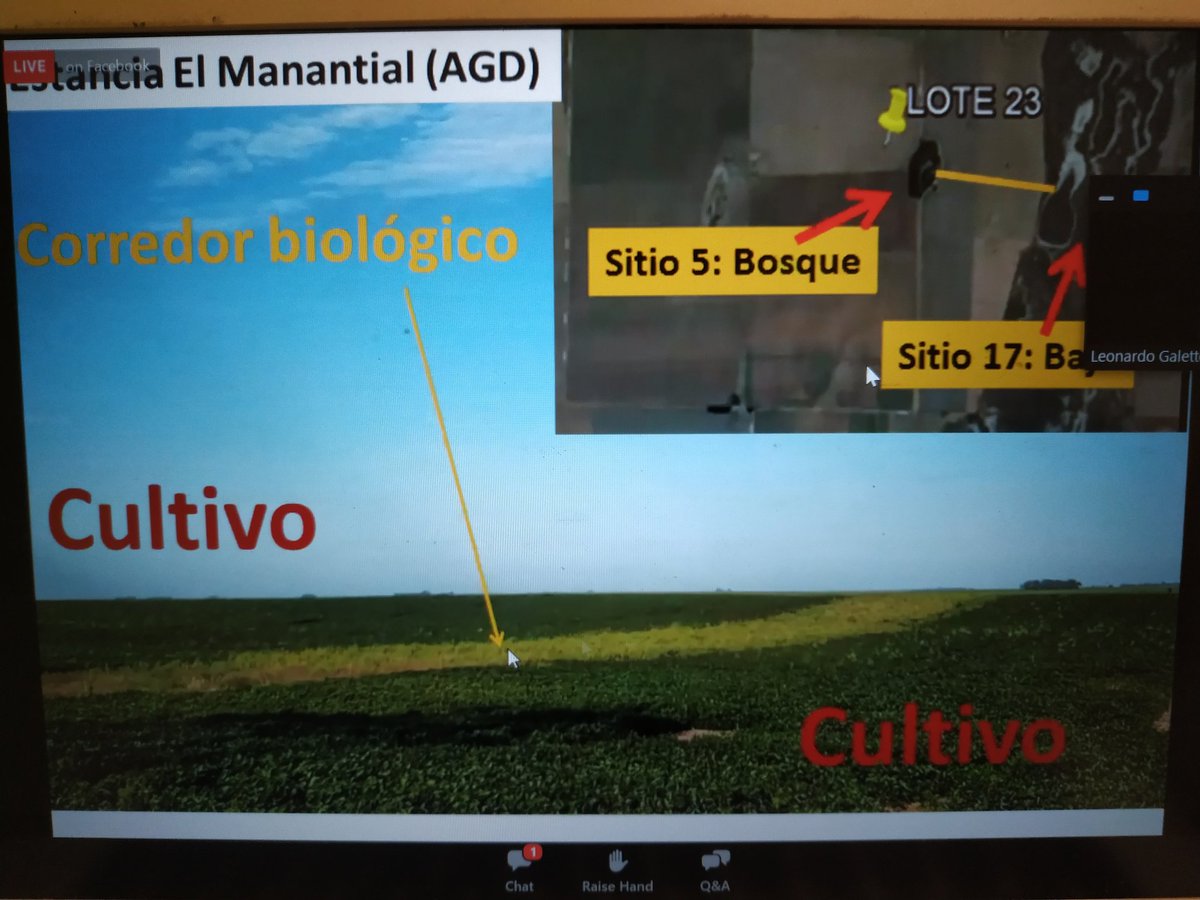 Excelente charla con Leonardo Galetto!!!.  Biodiversidad en socio-agroecosistemas y como monitorear la diversidad. <a href="/BAgroecologia/">Biodiversidad & Agroecología</a>