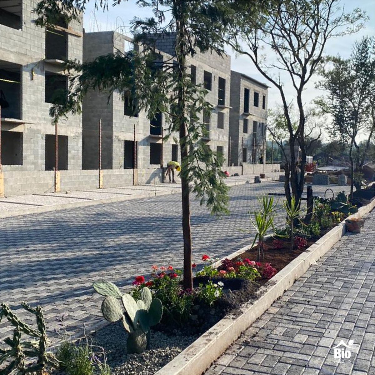 BioAislantesMx's tweet photo. ¡Nuevo cliente, nuevo caso de éxito! ✅ @comunidadescomvive
Felices de contribuir a la renovación verde de México. #mexicoverde 🍃
#EficienciaTermica #Edificaciones #CoreFoam #HuellaDeCarbono https://t.co/OmYUkFLtUN