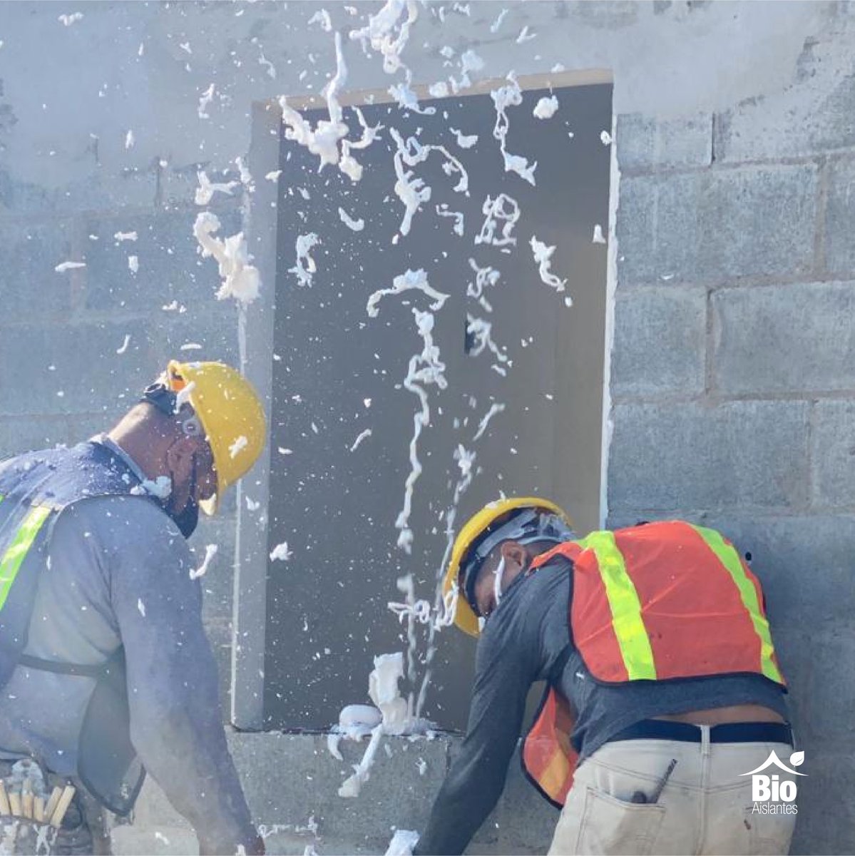 BioAislantesMx's tweet photo. ¡Nuevo cliente, nuevo caso de éxito! ✅ @comunidadescomvive
Felices de contribuir a la renovación verde de México. #mexicoverde 🍃
#EficienciaTermica #Edificaciones #CoreFoam #HuellaDeCarbono https://t.co/OmYUkFLtUN