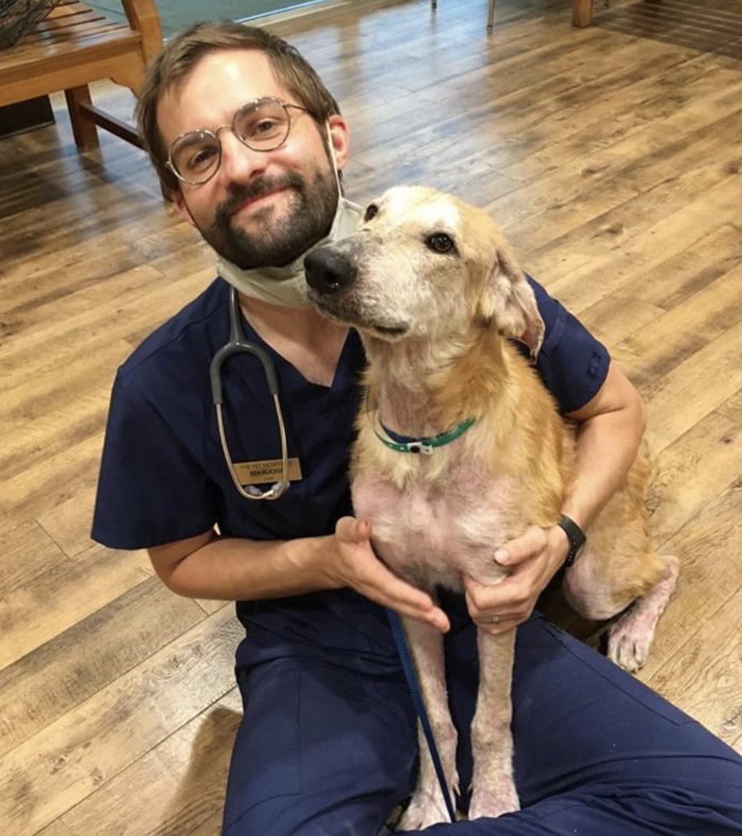 reddogsusie's tweet photo. 🔴UPDATE ON HOPE
(Formerly known as Shy) Rescued by Memphis Area Golden Retriever Rescue from MAS, She is now looking a lot better & ready to continue her recovery in her Foster Home😊 Update below💕
Thank you to everyone on twitter who helped her😊
#Memphis #MASA390 https://t.co/j0omRapdok