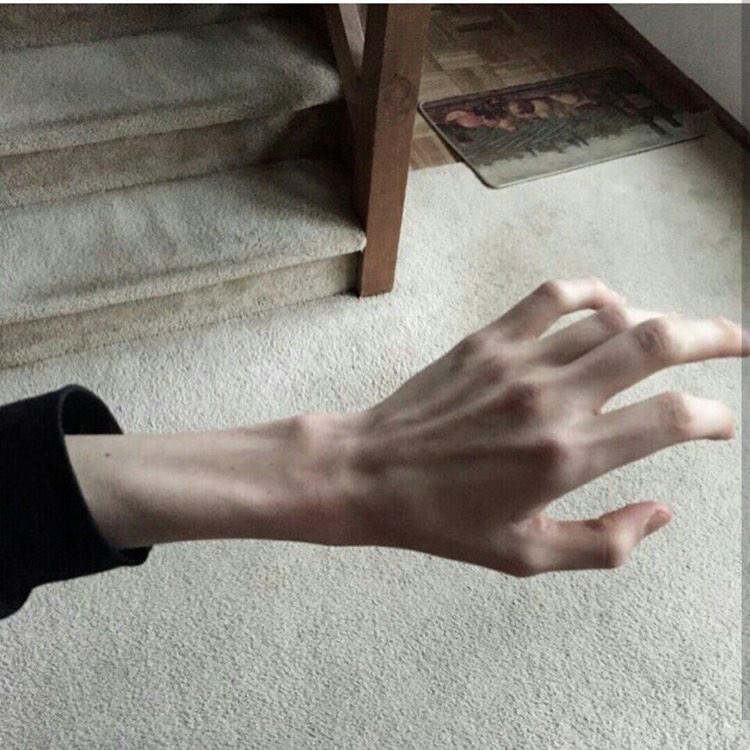 only0calories's tweet photo. ew wtf throw that greasy ass food out rn before i smack the shit outta you

#meanspo #thinspo #handspo #bonespo #proanatwt https://t.co/sAktpXMi86