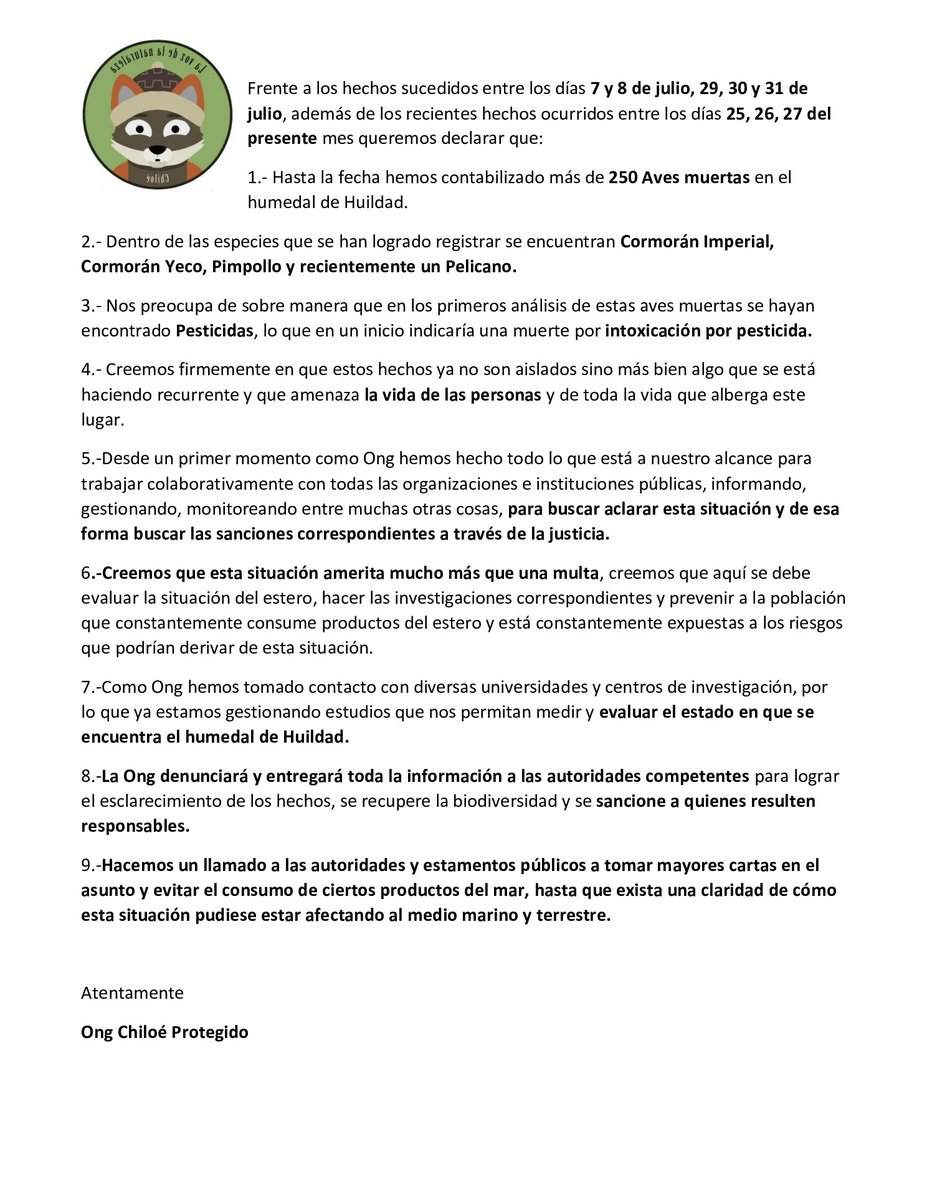 Fauna Accidentada Chiloé tweet media