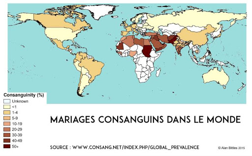 Ils envoient aussi très régulièrement des "baize ta mere", car ils imaginent très probablement que tous les peuples ont le même rapport qu'eux à leur génitrice.