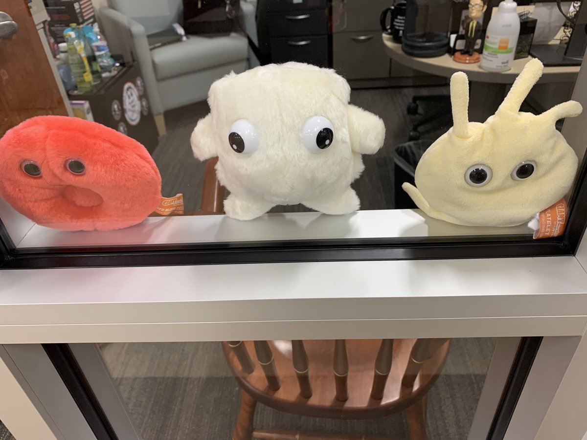 rejected pokemon plush