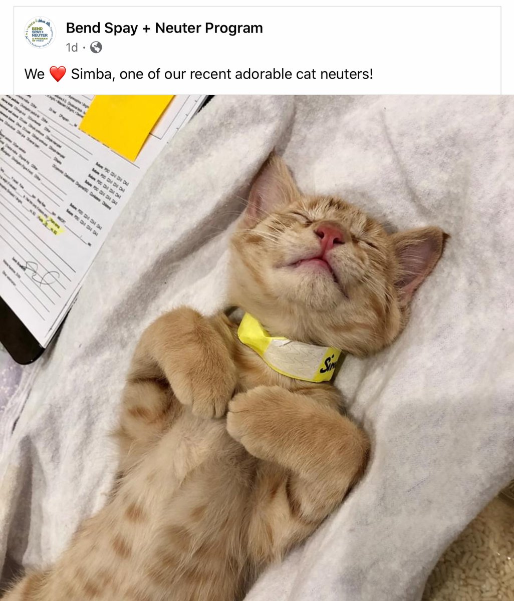 Bend Spay+Neuter tweet media