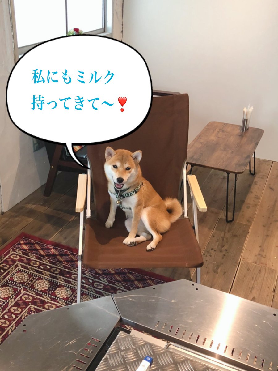 fishhousecafe2's tweet photo. 毎日こんな感じでお待ちしてます😊 https://t.co/O5yeKSM0FM