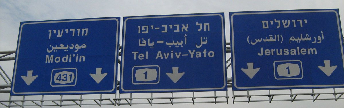 As linguistically diverse Jews emigrated "back" to the lands of Israel and Judah, now Ottoman Palestine, they turned to Hebrew as a lingua franca, accelerating the language's revival. By the 1900s, Hebrew was a mother tongue again, the first revitalized language in history. 40/