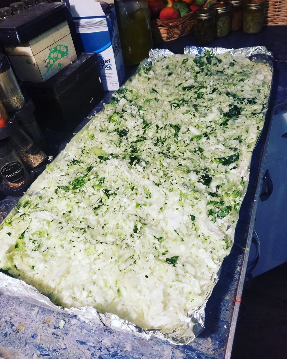 idkTiffiscommon's tweet photo. My entire counter is covered in cabbage. I understand why granny always had those giant wash tubs, but my aluminum foil will do. https://t.co/0W9LsExPlo