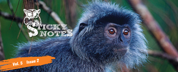 Sticky Rice Travel tweet media