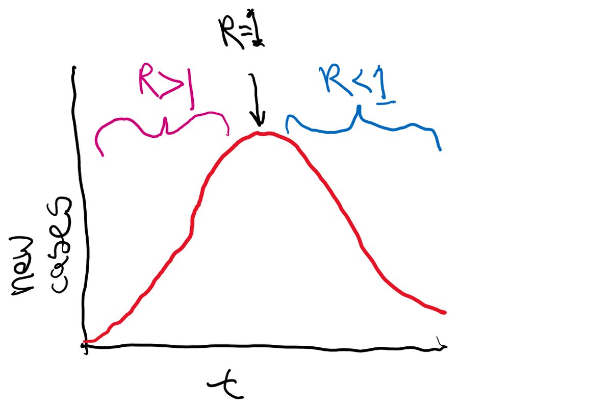 When epidemiologists say there is  #HerdProtection they mean that the reproductive rate, R, is less than or equal to 1, so cases will start. going down. So R=1 at the peak of an epidemic...(2/5)