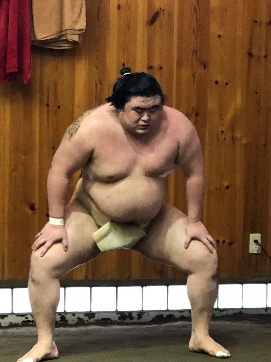 常盤山部屋 正解はひまわりが好きな隆の勝でした ミニ情報 隆の勝がジブリ映画の主題歌で 一番好きなのは 魔女の宅急便 の やさしさに包まれたなら だそうです さてお付き合い頂きました不思議なクイズ この手誰の手 もいよいよラストになり