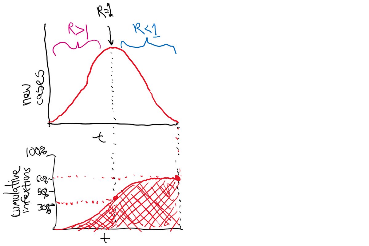 ...and while epidemics are not necessarily symmetric, that you will see as mean cases on the way down as the way up is not a bad approximation. Giving you an attack rate of 60%, even do you had herd immunity at 30%. (4/5)