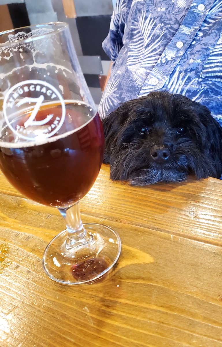 Patiently waiting... <a href="/zymurcracybeer/">Zymurcracy Beer Co.</a>