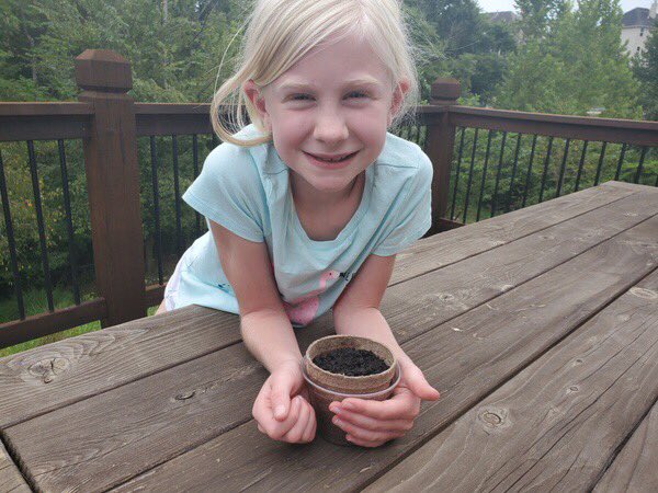 Virtual learning doesn’t mean we lose all the hands on!! <a href="/rsdk5science/">Susanne Moar</a>